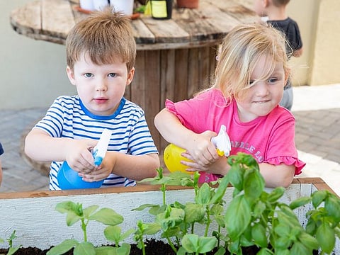 Sustainability across the curriculum at Innovative Early Learning Centre in Dubai