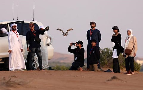 The unique cultural exchange promises to be a rich experience between two countries known for their deep-rooted traditions in the field of falconry.