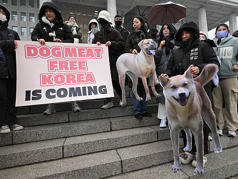 Animal rights activists hold placards during a rally welcoming a bill banning dog meat trade at the National Assembly in Seoul on January 9, 2024.