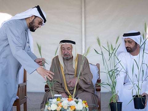 His Highness Dr Sheikh Sultan bin Muhammad Al Qasimi, Supreme Council Member and Ruler of Sharjah, was briefed on stages two and three of the project