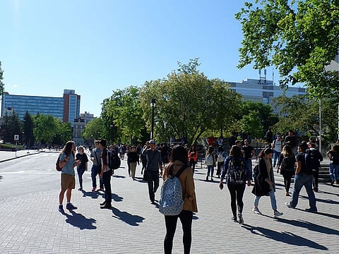 Indians have formed the largest group of international students in Canada in recent years, with more than 41 per cent - or 225,835 - of all permits going to them in 2022.
