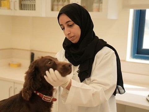 Lt. Mariam Abdullah Baljafla, the inaugural veterinary officer of Dubai Police, serves in the K9 Inspection Department, under the General Department of Organisation, Protective Security and Emergency.