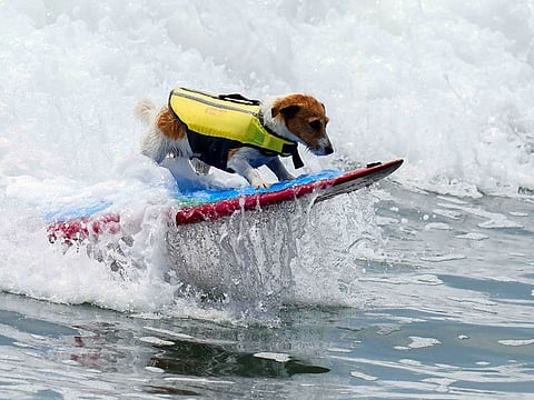 Efruz surfs on the front of the board of his caretaker Mauro Canella in San Bartolo, Peru.