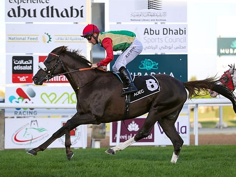 The Abu Dhabi Equestrian Club will see over 100 horses competing during the seven-race card on February 17.