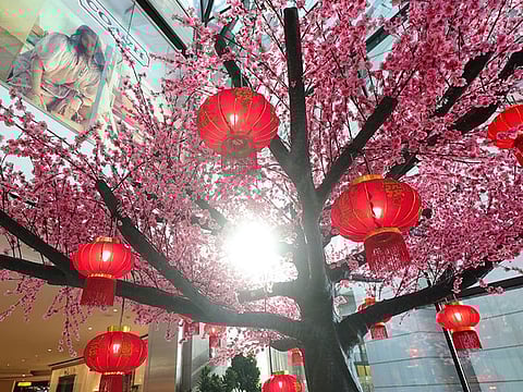 Al Maryah Island is set to revive its Chinese New Year celebrations, taking place from 16 to 17 February from 3pm to 10pm and on 18 February from 1pm to 8pm at the South Plaza.