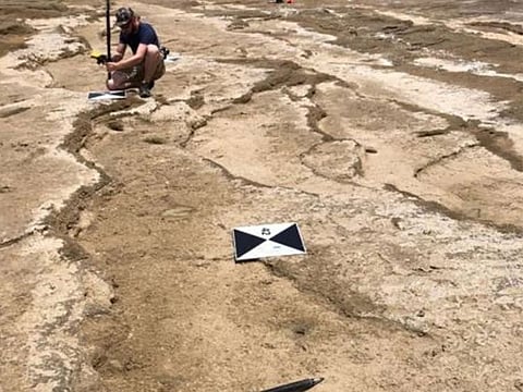 The footprints were discovered on the coast of Larache by archaeologists from Morocco, Spain, France, and Germany.