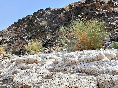 Snow and hail in Saudi Arabia blanketed Taif region recently. In recent months, several areas in Saudi Arabia have been affected by torrential rains, leading to the suspension of classes and a transition to online education.