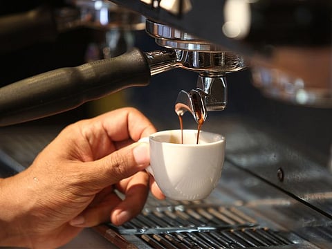 Too much information can diminish the joy sometimes and though I read a lot, I stick to what I know I like - a rich, textured, full-bodied cup of espresso, with flowery notes, a little tanginess, complemented by a small biscuit - yes that’s what I’ll have.