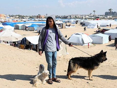 Displaced Palestinian teenager Hassan Abu Saman walks his dogs at a tent camp, amid the ongoing conflict between Israel and the Palestinian Islamist group Hamas, in Rafah on February 20, 2024.