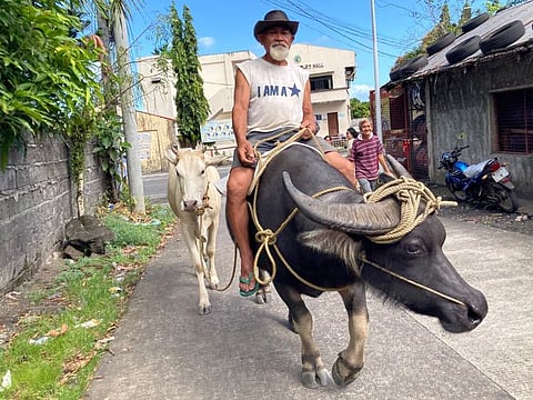 An elderly Filipino farmer rides a water buffalo ("carabao") with a cow in tow in Albay province, 445 km south-east of Manila.