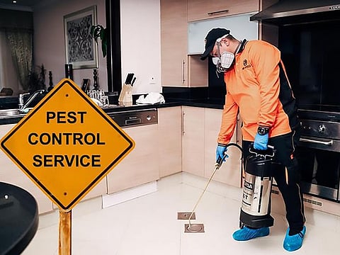 Areas with high foot traffic such as apartment complexes and commercial territories are at the highest risk for pest infestations.
