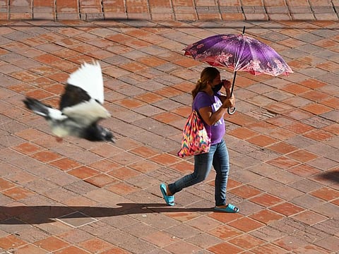A woman covers from the sun with an umbrella while walking through the main square in Comayagua, Honduras, on February 27, 2024, as a heatwave hits the country. El Nino, the large-scale warming of surface temperatures in the central and eastern equatorial Pacific Ocean, typically has the greatest impact on the global climate in the year after it develops, in this instance 2024.