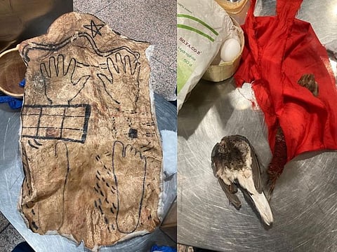 A live snake (not in photo), an animal skin (left), a dead bird, eggs, and a monkey’s hand (wrapped in a piece of red fabric) were among the objects recently seized from a passenger at the Dubai International Airport.