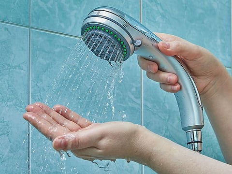 If you’re suffering from skin irritation, dryness, hair fall or an itchy scalp, we’ve got just the list of shower filters to reverse these effects.