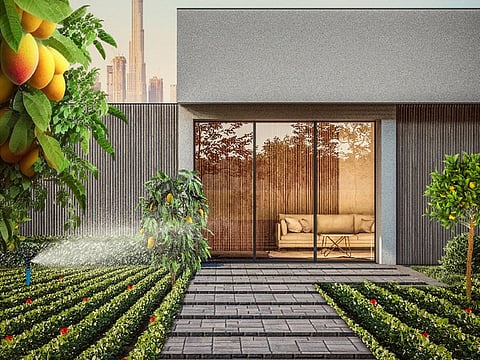 One of the posters of the contest