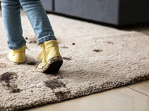 Your shoes are filled with different bacterial strains, some of which are potentially harmful. Into this mix, they pick up different chemicals like lead and asphalt, and bringing these along with allergens into the house can result in a host of illnesses.