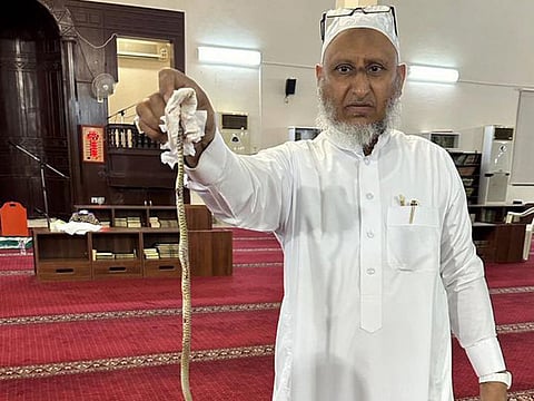 By safely disconnecting the power, the technician was able to remove and subsequently neutralize the snake, ensuring the safety of all worshippers.