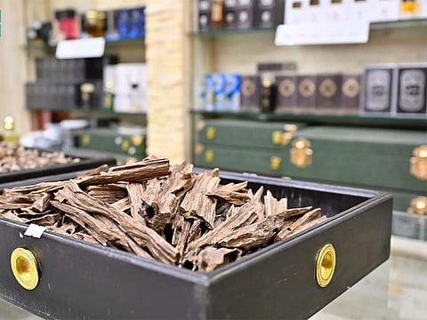 Saudi Arabia imported some 1.1 million kilograms of oud wood and 1,513kg of oud oil in the last three quarters, according to the kingdom’s Zakat, Tax and Customs Authority.