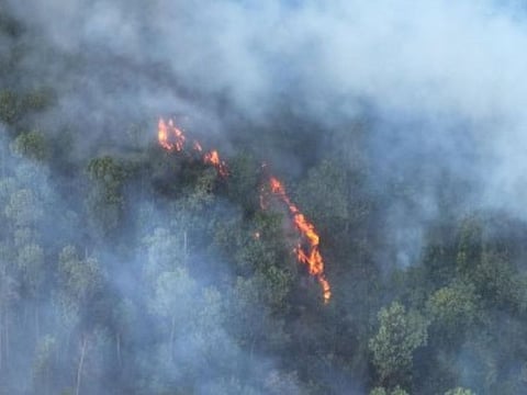 The Bureau of Fire Protection (BFP) stated that Negros Oriental province recorded 17 grass fires and emphasized the importance of caution in activities to prevent grass or wildfires, as depicted in this undated photo from Bayawan City, Negros Oriental.