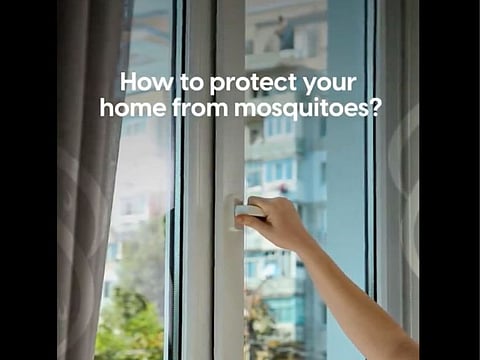 Dubai Municipality: Top tips to combat mosquito proliferation after rainfall