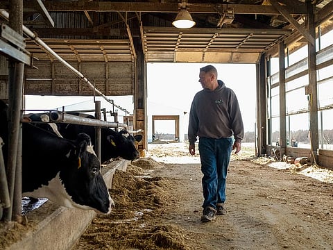 Dairy farmer Brent Pollard walks past and examines the cow pen at a cattle farm in Rockford, Illinois, U.S., April 9, 2024.