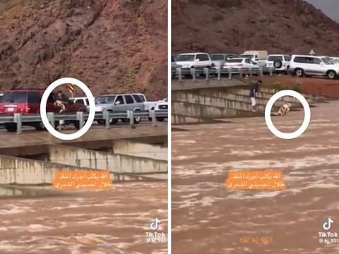 Rescue attempt underway in Saudi Arabia.