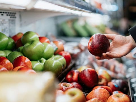 The conference organised by the Abu Dhabi Agriculture and Food Safety Authority (ADAFSA) provided a platform to facilitate the exchange of knowledge to enhance the level of food safety and tackle ways to protect consumers and the food sector from food fraud and raising awareness of its dangers.