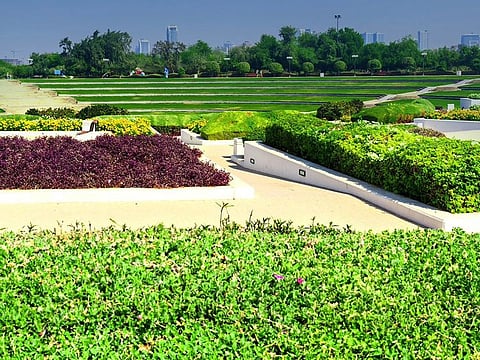 The municipality's post did not name the venues but it is understood they are parks and playgrounds nestled within neighbourhoods