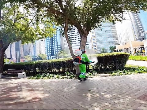 The centre advised residents to take proactive steps to remove any stagnant water indoors to prevent breeding grounds for pests and mold growth.