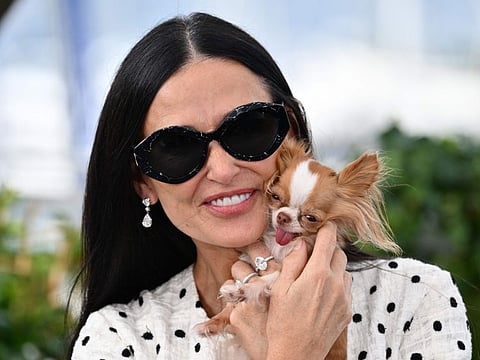 US actress Demi Moore poses with her Chihuahua dog named Pilaf during a photocall for the film "The Substance" at the 77th edition of the Cannes Film Festival in Cannes, southern France, on May 20, 2024. (Photo by CHRISTOPHE SIMON / AFP)