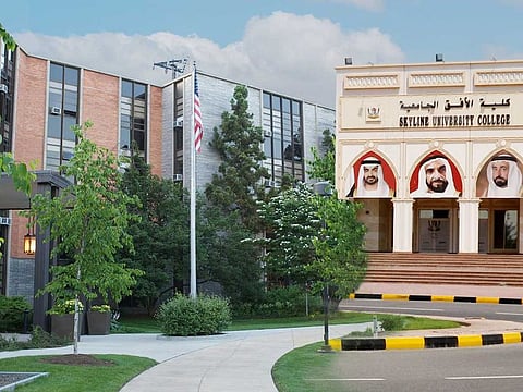 Skyline University College and Albertus Magnus College both feature modern, well-equipped campuses that support academic excellence and personal growth.