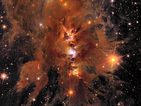 This handout image obtained on May 23, 2024 courtesy of NASA/ESA/CSA shows space telescope Euclids new image of star-forming region Messier 78 (the central and brightest region), a vibrant nursery of star formation enveloped in a shroud of interstellar dust.