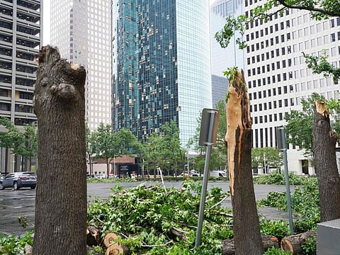 Trees snapped by the storm are chopped up in Houston, Texas. Shattered and boarded up windows are seen on the side of the Wells Fargo Plaza building in Houston.