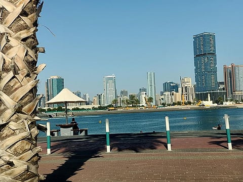 Sharjah residential rental space is having an extremely good year. The new rules on leasing will now come in handy for tenants and landlords alike.