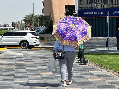 A UAE resident walks holding an umbrella on a hot, sunny day in Abu Dhabi