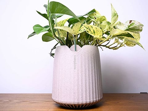 It may look like an innocent green plant, but its name gives it away as something far closer to a robot or interstellar rocket.