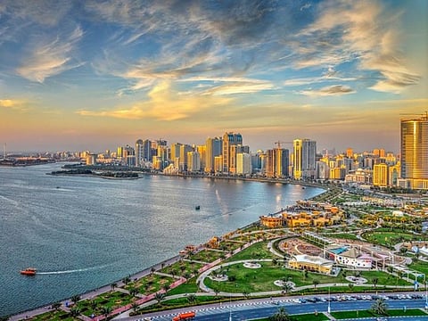Sharjah has been attracting a sizeable number if new businesses. Now, one of its free zones is taking on trade licence applications using AI.