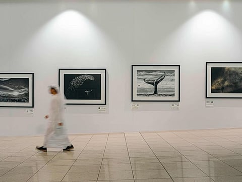The exhibition lines the passageway between Concourse B and C