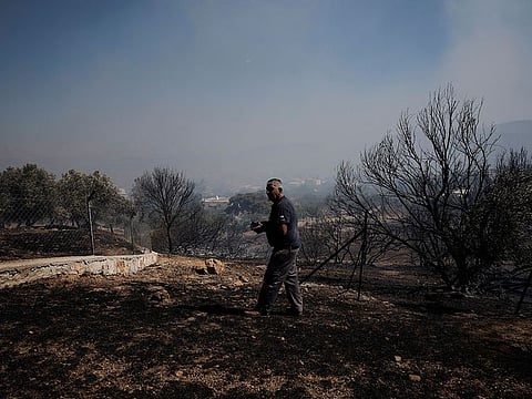 A man walks in an area burned during a wildfire, in Kitsi, near the town of Koropi, Greece.