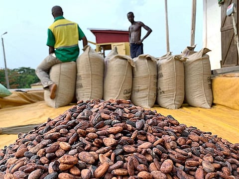 Cocoa beans are pictured next to a warehouse at the village of Atroni, near Sunyani, Ghana.