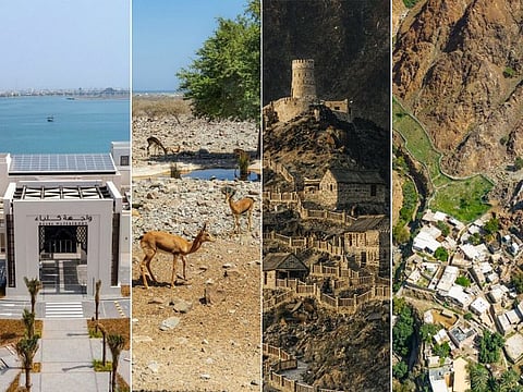 Whether you are a history buff or an adventure lover, there is something for everyone along the east coast of the UAE.