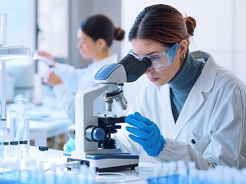 If you are a researcher with a PhD or a recent graduate with a master’s degree, you might qualify for a Golden Visa. The programme targets specialists, scientists, and high-achieving graduates