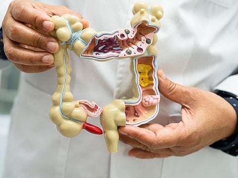 Colon hydrotherapy at Dubai’s first registered colon hydrotherapy training center