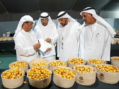 The 10-day annual Liwa Date Festival emphasises the cultural importance of date farming in the Al Dhafra region, offering visitors a deep dive into the rich traditions and customs of the UAE.