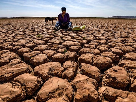 A shepherd checks his mobile phone sitting on cracked earth at Al Massira dam in Ouled Essi Masseoud village, some 140km south of Casablanca.