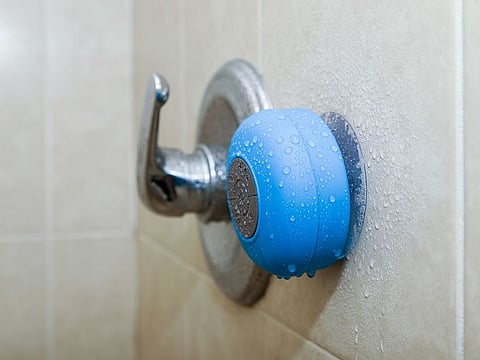 What you truly need is a speaker that delivers clear vocals, balanced mids, and controlled bass for an enjoyable shower listening experience.