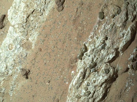 This handout image obtained on July 26, 2024 courtesy of NASA/JPL-Caltech/MSSS shows a reddish rock nicknamed ‘Cheyava Falls’ in Mars' Jezero Crater on Juy 18, 2024, in an image captured by NASA's Perseverance rover.