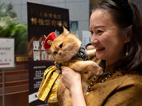 Cat owner Amy carries her cat named Trump while attending cat night at the Shanghai Museum in Shanghai on July 27, 2024.