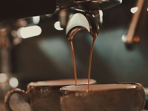 Barn's has crafted a reputation for excellnce through its premium selection of coffee beans and by overseeing every stage of the preparation process