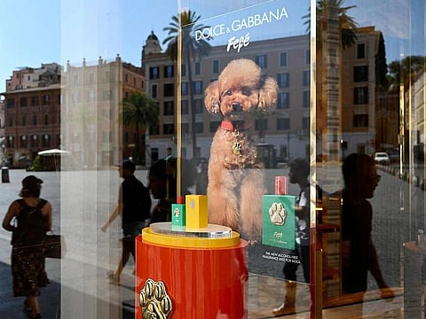 Passers-by are reflected on the window of a Dolce & Gabbana luxury fashion house boutique displaying their new perfume for dogs called 'Fefé' in central Rome, on August 8, 2024.